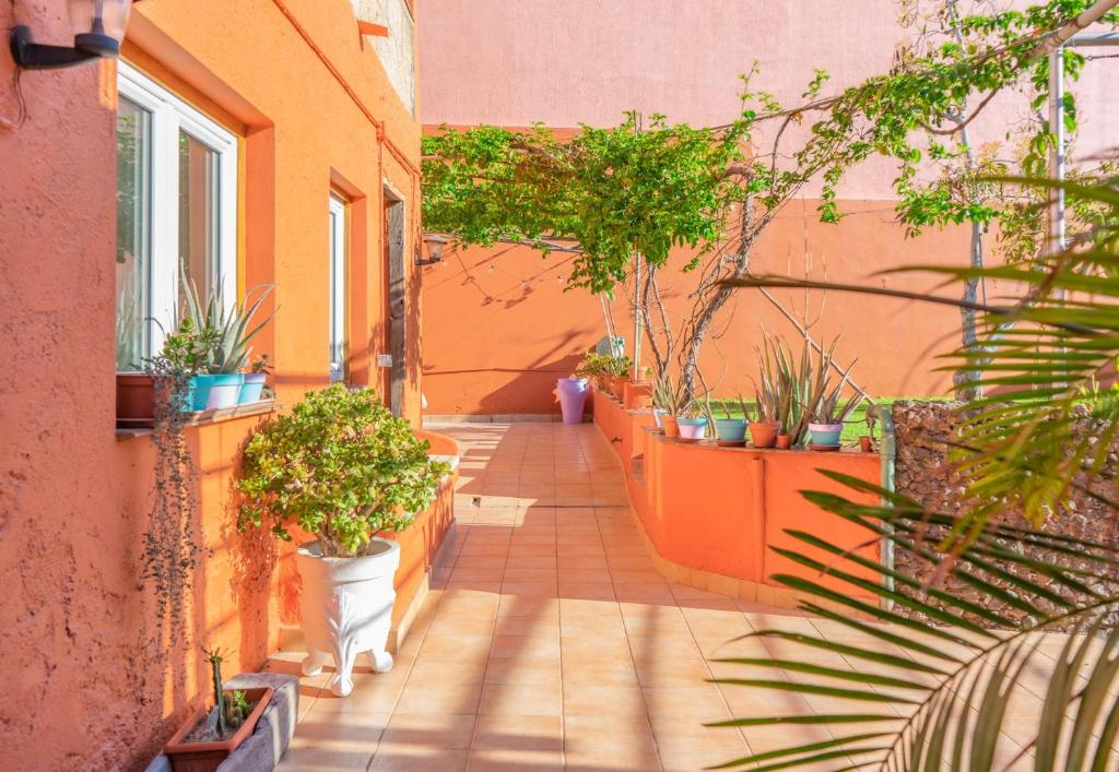 Coliving House with 18 beds in Arona - Valle de San Lorenzo, Tenerife -  Book Now 