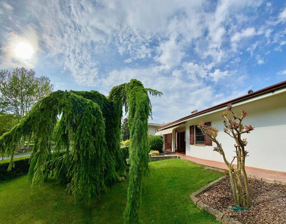 a house with a green tree in the yard at Al Parco in San Benedetto Po