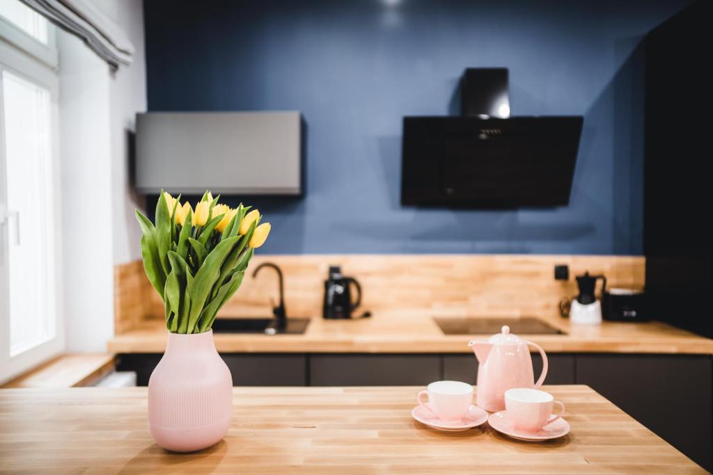 Televízia a/alebo spoločenská miestnosť v ubytovaní Modern Apartments Toruń 4 Stare Miasto-Centrum