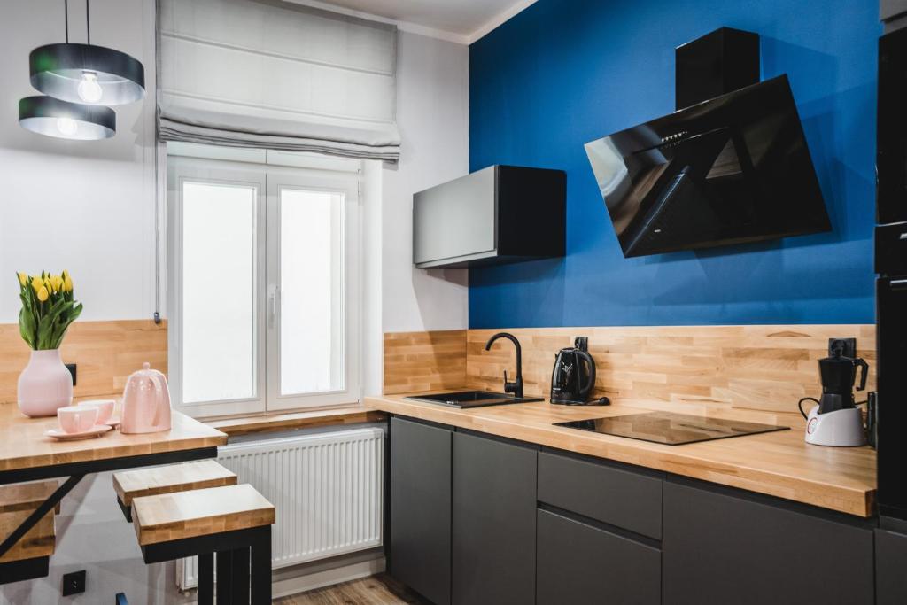 Kuchyňa alebo kuchynka v ubytovaní Modern Apartments Toruń 4 Stare Miasto-Centrum