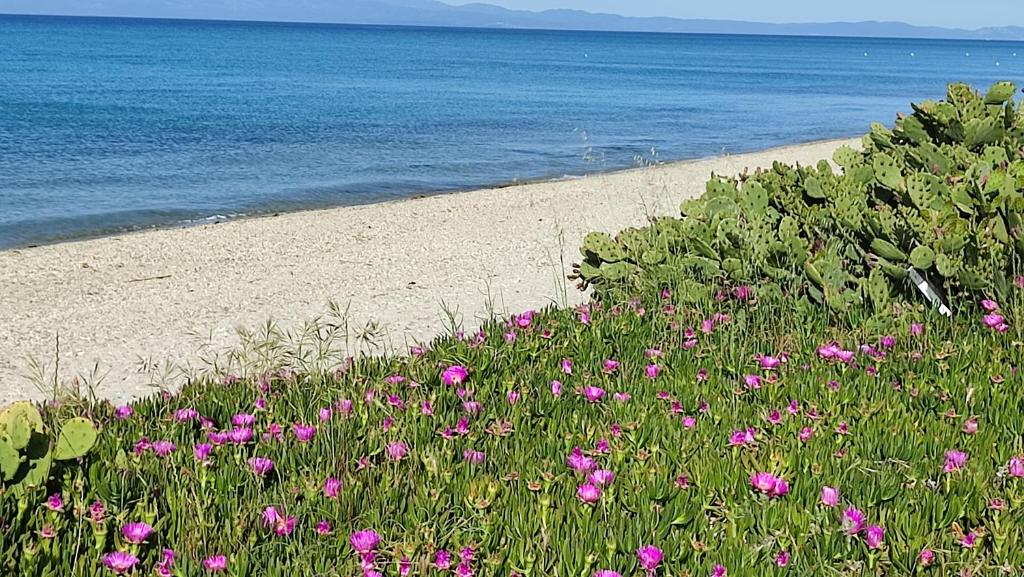 Фотография из галереи Villa Christina Sea Side в Ханиоти