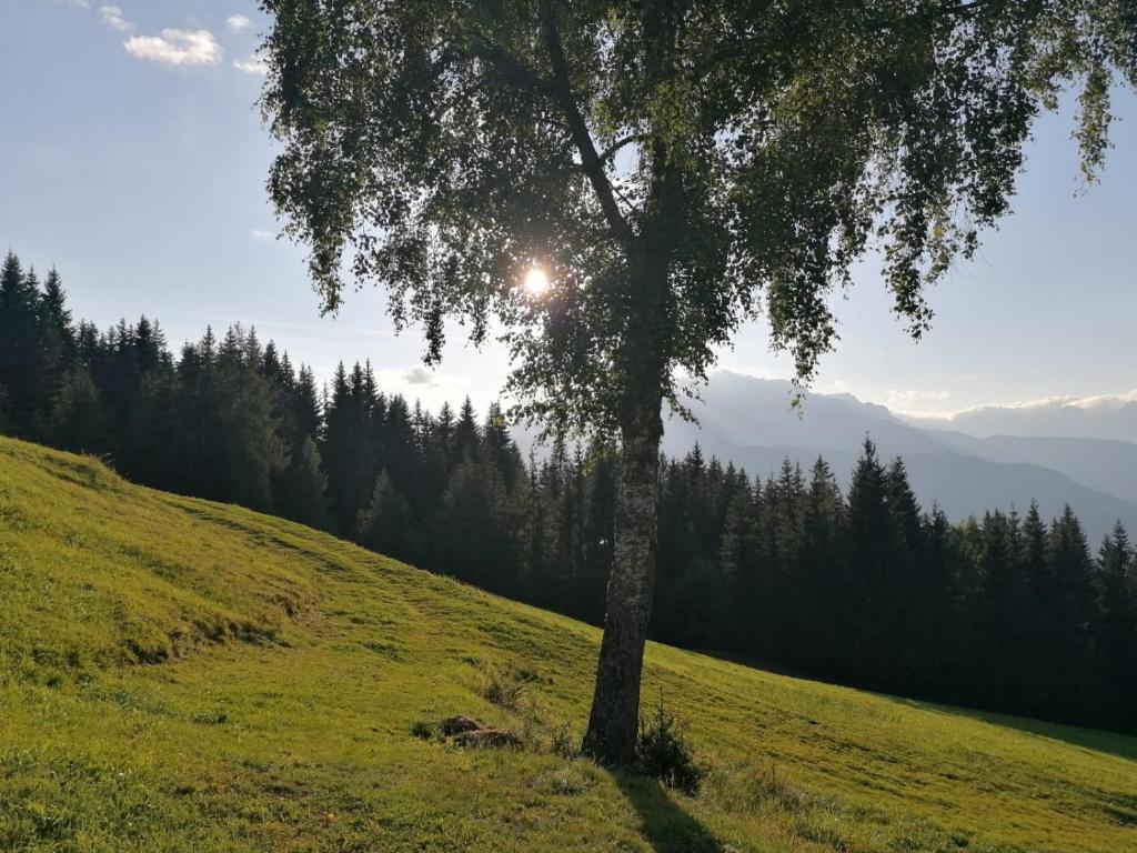 Fotografia z galérie ubytovania Almliesl BHOF-676 v destinácii Bischofshofen