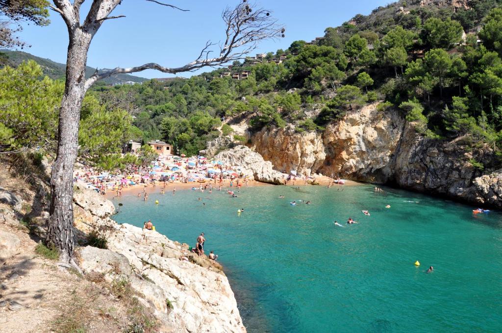 a group of people in the water at a beach at Pola Giverola Camp in Tossa de Mar