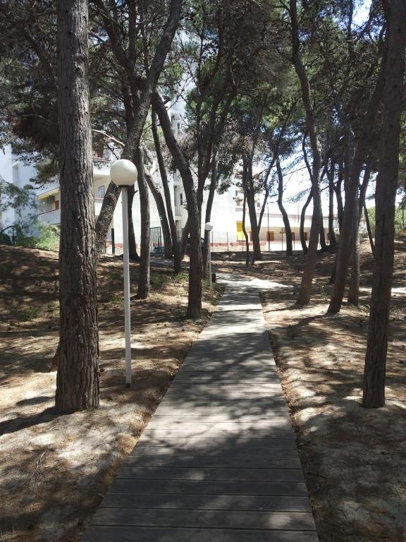Cocco House apartament Gallipoli - One-Bedroom Apartment