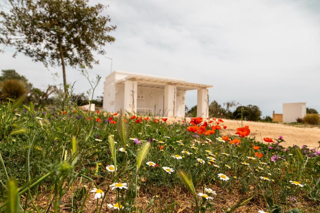 Vonkajšia záhrada v ubytovaní MASSERIA SCALEDDA