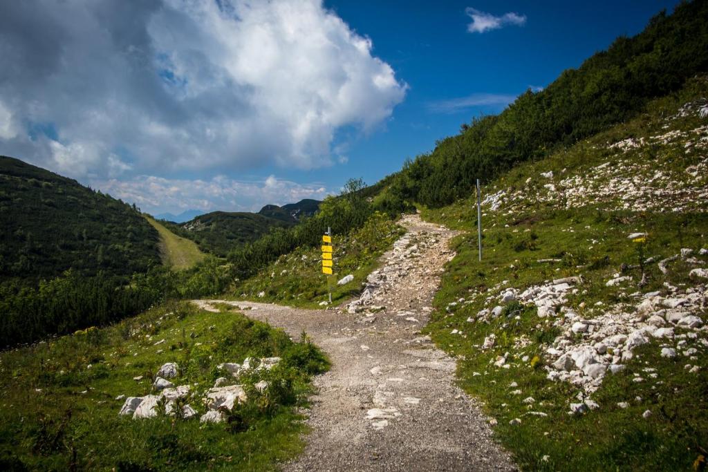 Příroda nedaleko apartmánu
