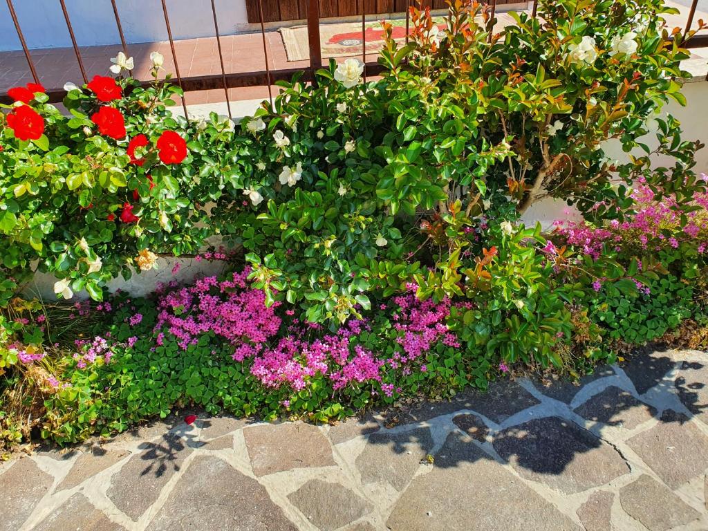 Zahrada ubytování La Casa di Agnese