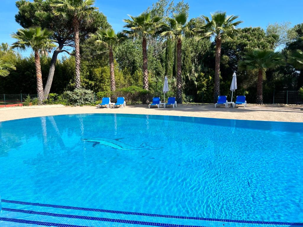 un delfín nadando en una gran piscina azul en Hotel La Romarine, en Saint-Tropez
