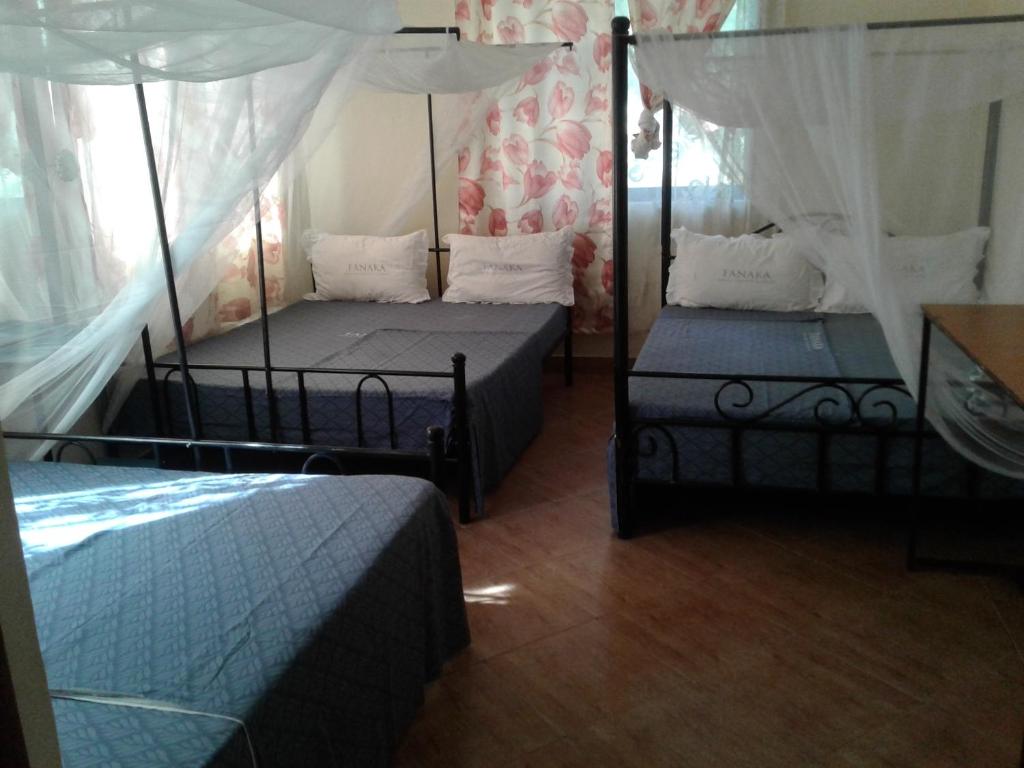 Fanaka Safaris Campsite & Lodges, Mto wa Mbu – Updated 2024 Prices