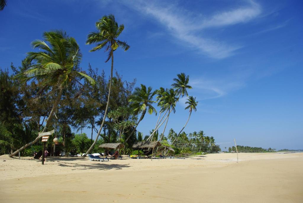 een strand met palmbomen en mensen op het zand bij Ganesh Garden Beach Cabanas in Tangalle