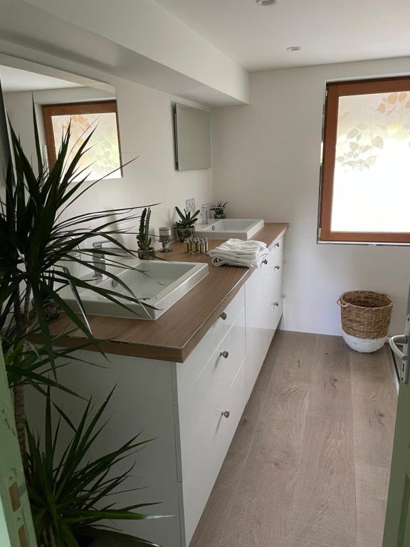 Kuchyň nebo kuchyňský kout v ubytování Aux murmures de la nature B&B