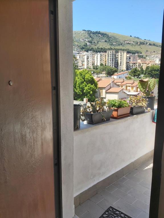 CASA MIA