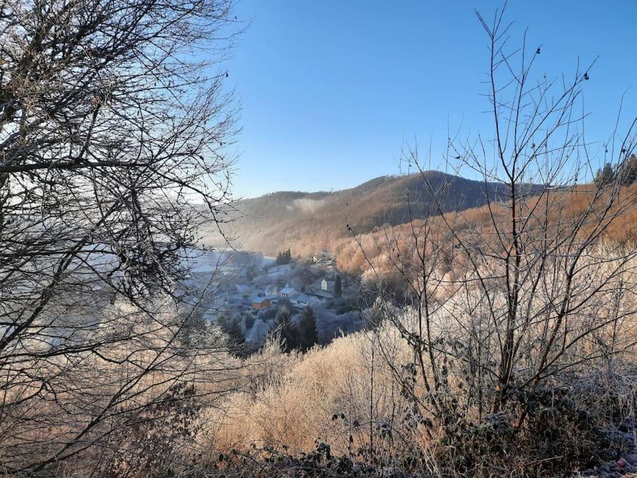 Paysage naturel près de le chalet