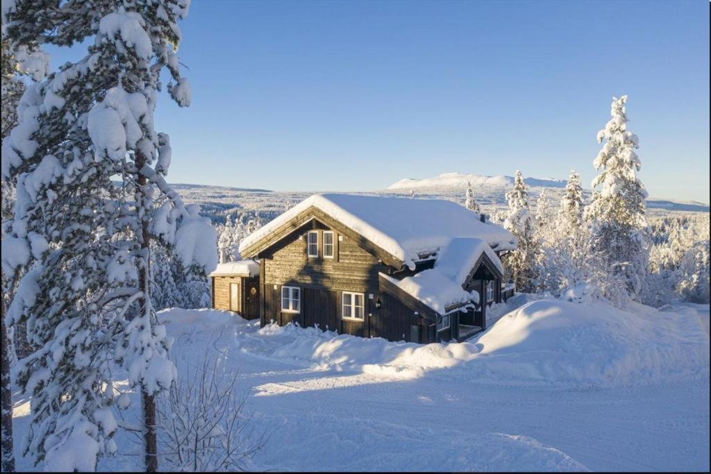 una baita di tronchi nella neve con alberi innevati di Cabin with sauna in Trysil a Trysil