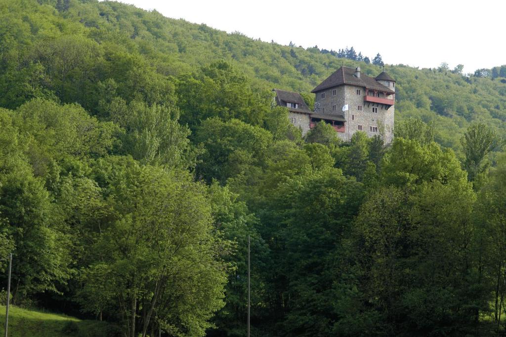 een gebouw aan de zijkant van een heuvel met bomen bij Mariastein-Rotberg Youth Hostel in Mariastein