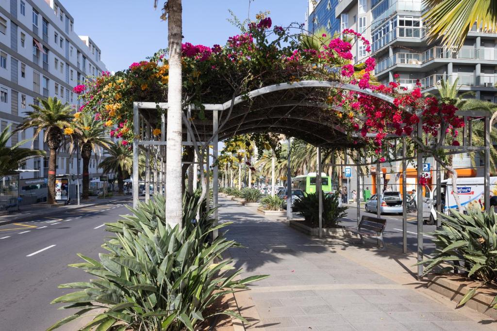 Fotografie z fotogalerie ubytování Home2Book Stunning Santa Cruz City Views v destinaci Santa Cruz de Tenerife