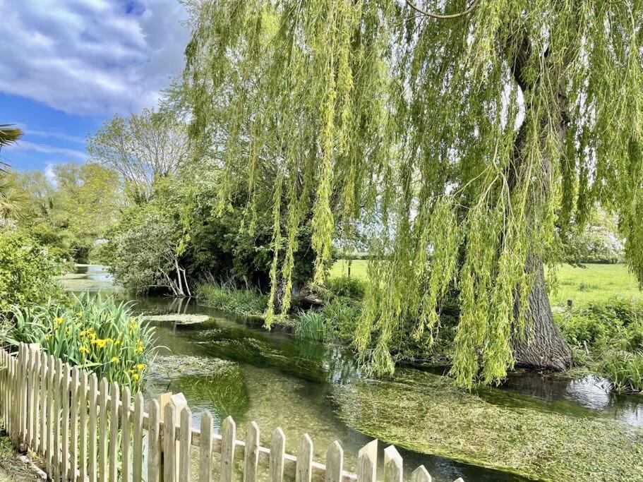 a weeping willow tree hanging over a river next to a fence at Willow Tree Lodge - Cosy lodge in the heart of the Kent countryside in Littlebourne