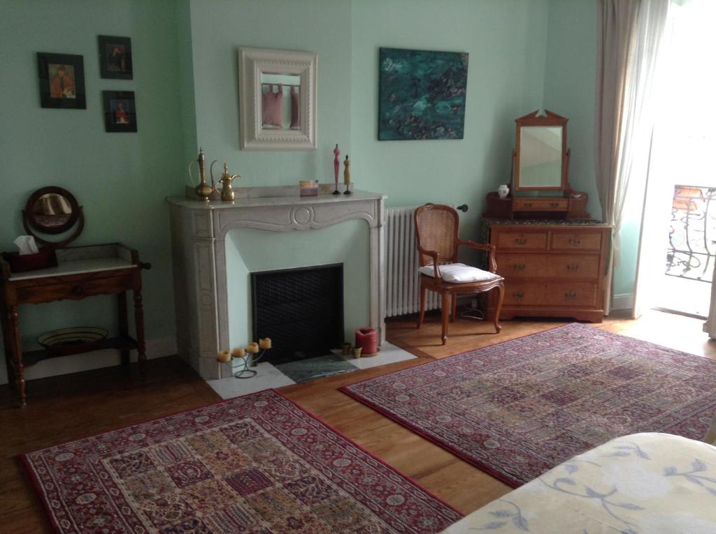 a living room with a fireplace and a chair at La Maison de la Riviere B&amp;B in Espéraza