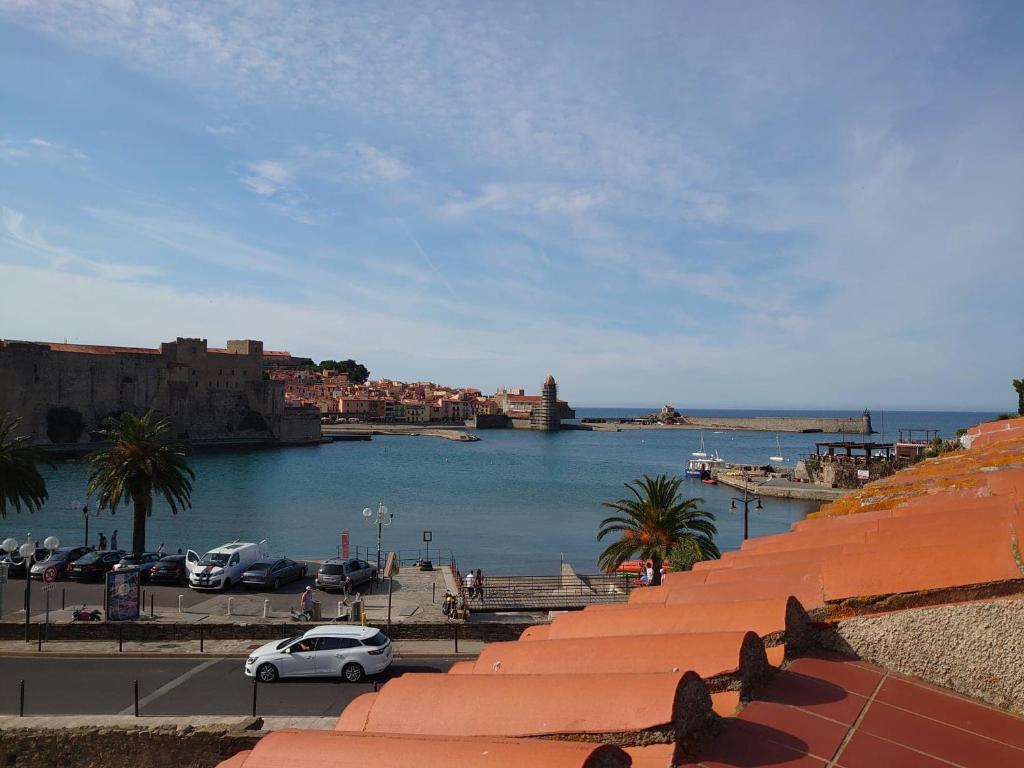 une vue sur une étendue d'eau avec des voitures garées dans l'établissement 6COMA6 Appartement avec terrasse vue mer, à Collioure