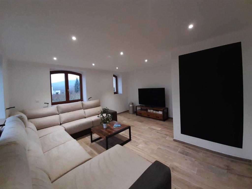 uma sala de estar com um sofá grande e uma televisão de ecrã plano em Loree des Vignes em Pfaffenheim