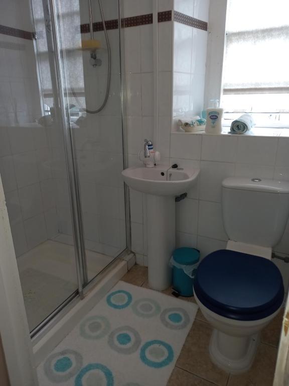 a bathroom with a shower and a toilet and a sink at Gardenvale Manor House B&B in Stranocum