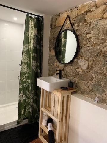 Łazienka z umywalką i lustrem na kamiennej ścianie w obiekcie Chez LULU appartement de caractère w mieście Cozzano