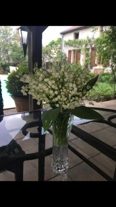 Bulles & Bubbles... - 11