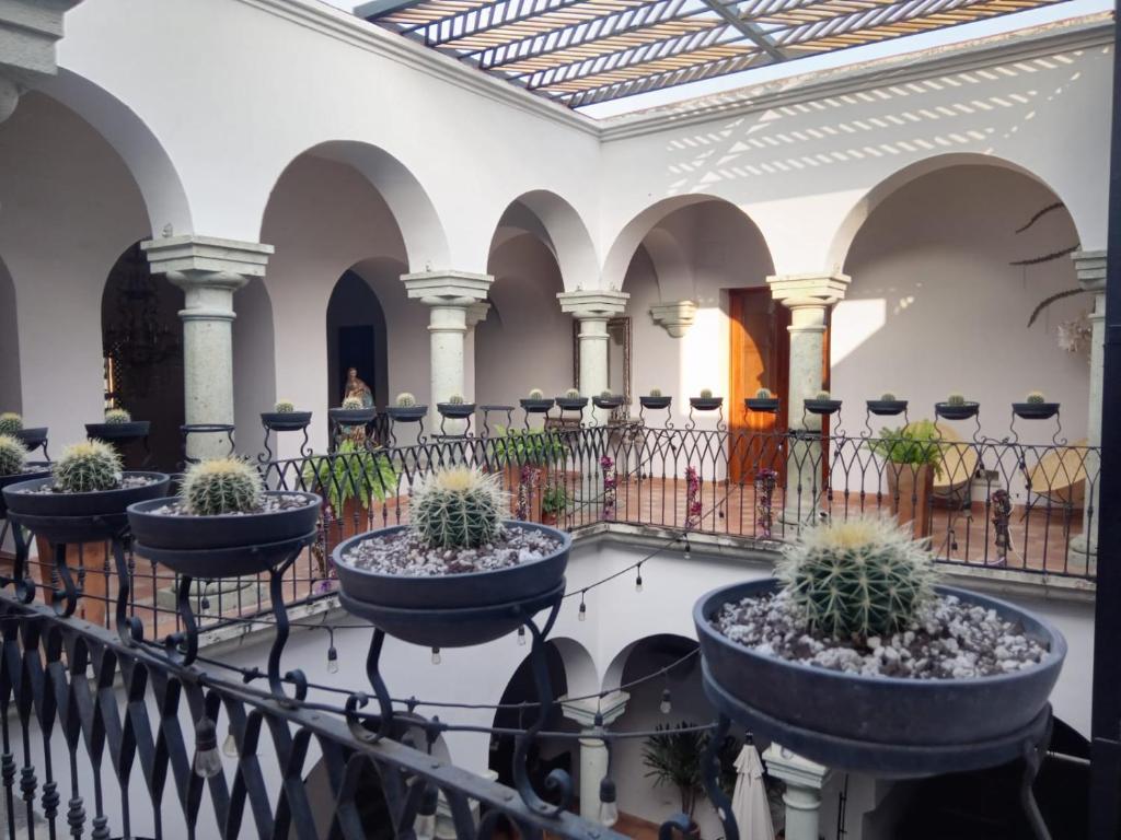 a row of potted plants on a balcony in a building at Casa de la Asunción in Oaxaca City