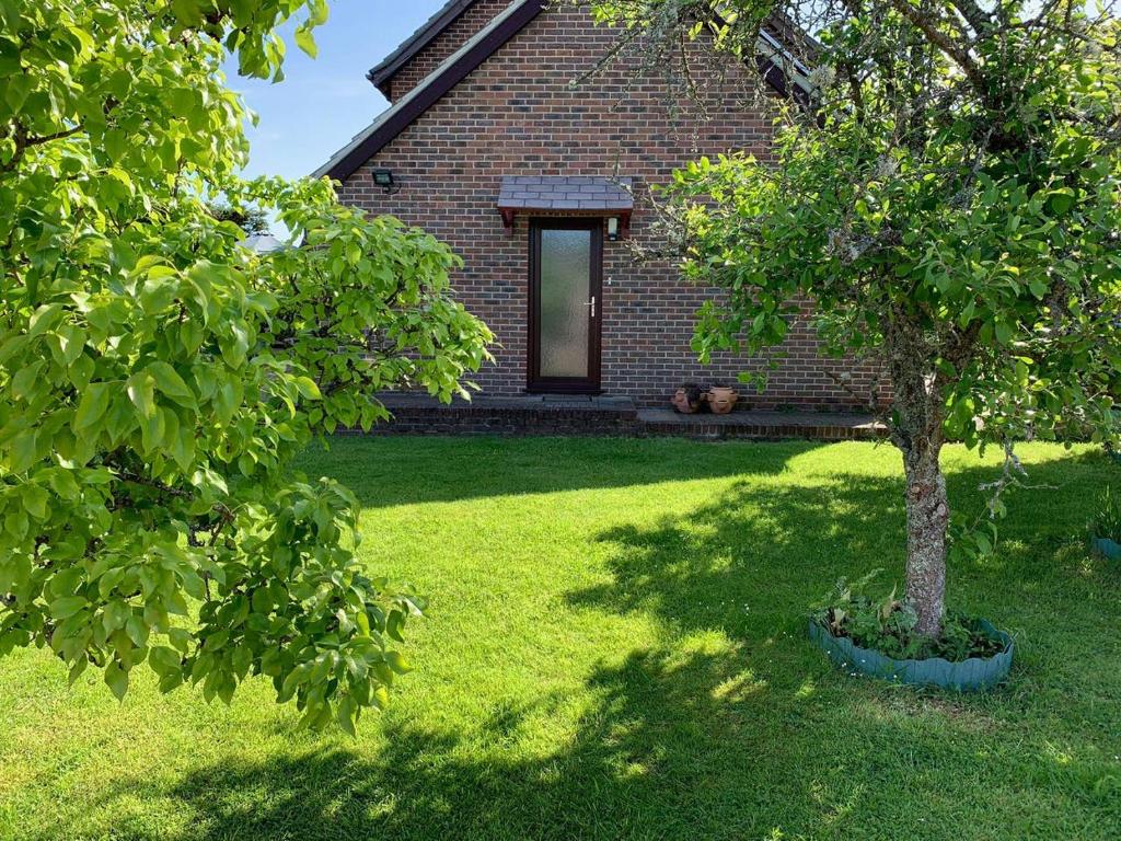 a brick house with a tree in front of it at New Forest Hideaway- Self Catering Accommodation in Newbridge