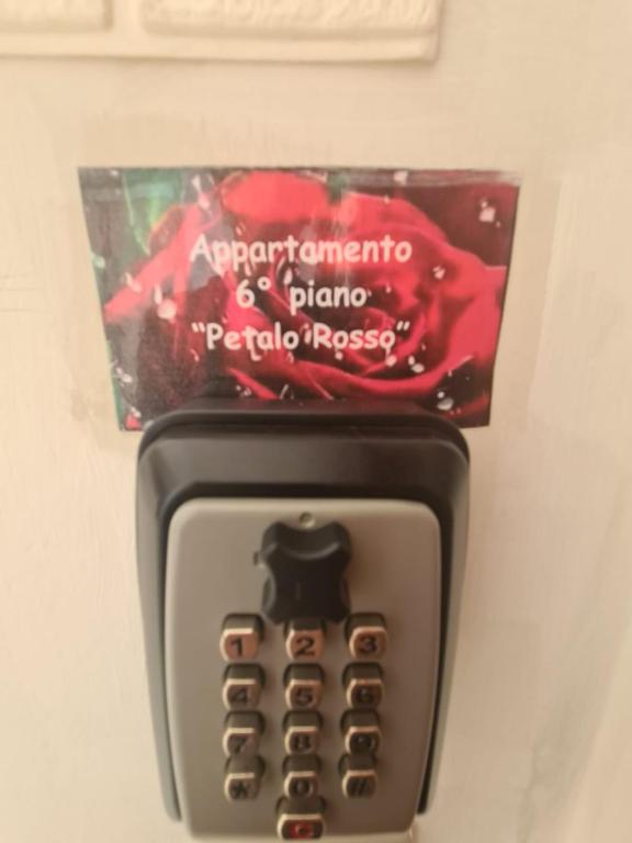 Fotografie z fotogalerie ubytování Petalo rosso v destinaci Pegognaga