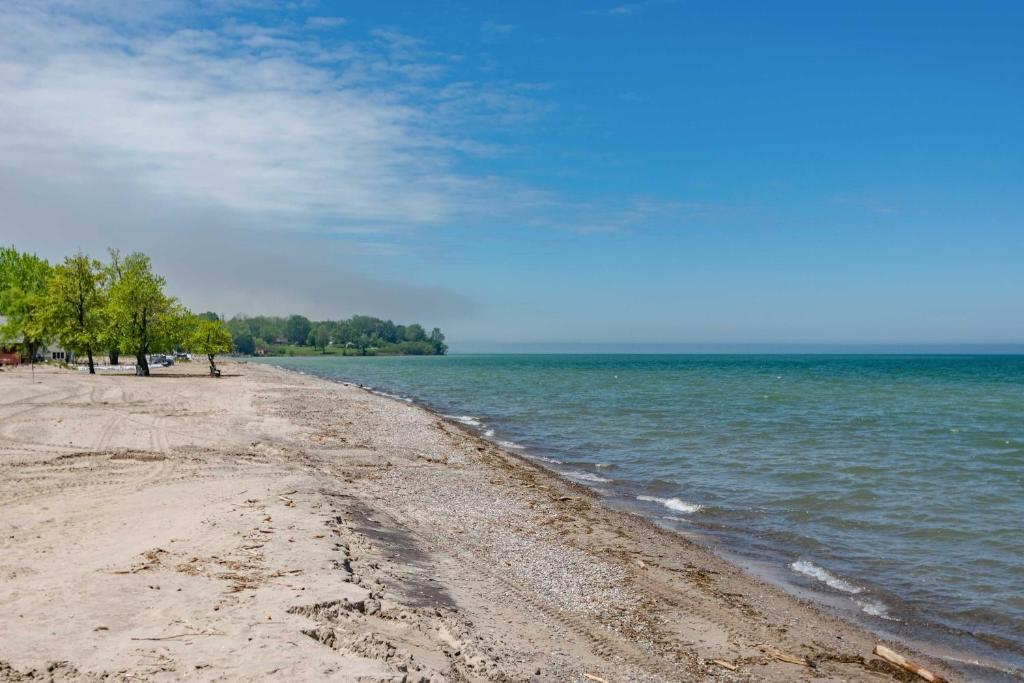 une plage de sable avec des arbres et l'eau dans l'établissement Charming Sodus Point Getaway with Lake Views!, à Sodus