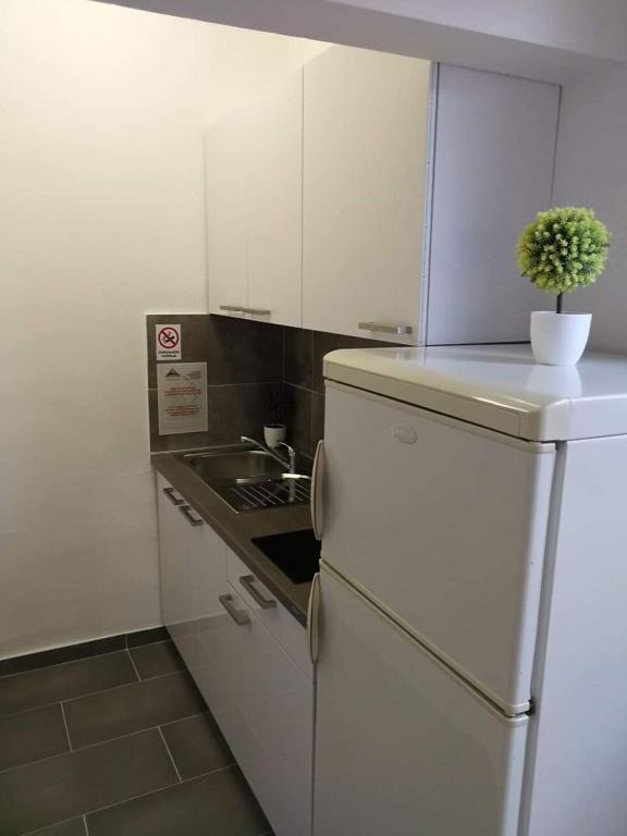 Kuchyňa alebo kuchynka v ubytovaní Aurelia Apartments, Vir