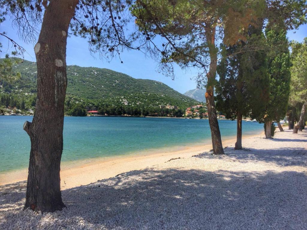 Príroda v okolí apartmánu