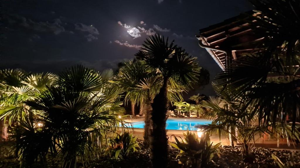 a view of a pool at night with palm trees at Le Relais des Chevaliers "Gîte" in Cordes-sur-Ciel