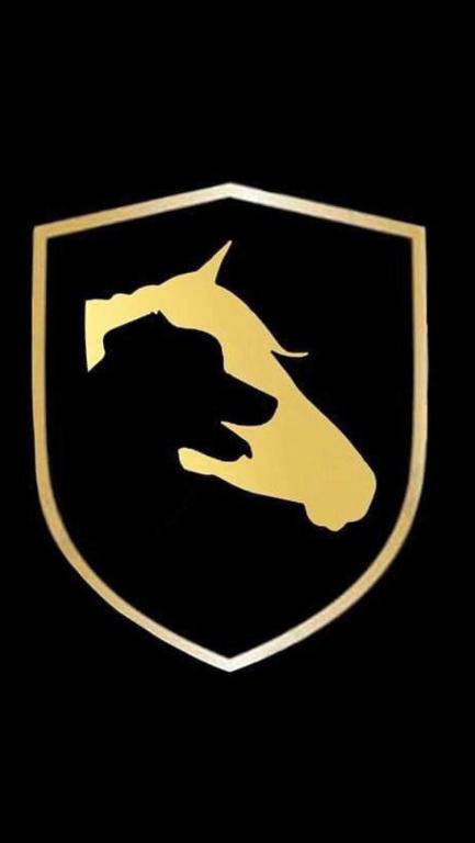 Een certificaat, prijs of ander document dat getoond wordt bij Horse and Hound