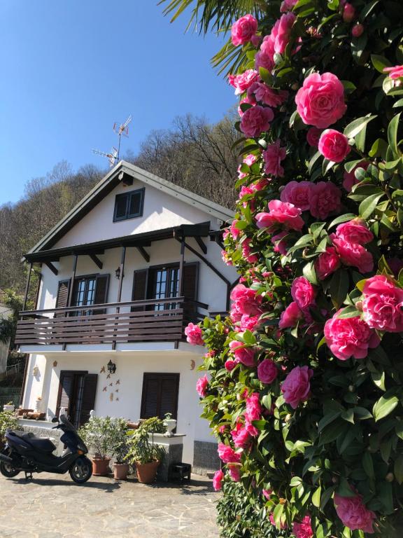 a white house with pink roses in front of it at Casa delle azalee in Gravellona Toce