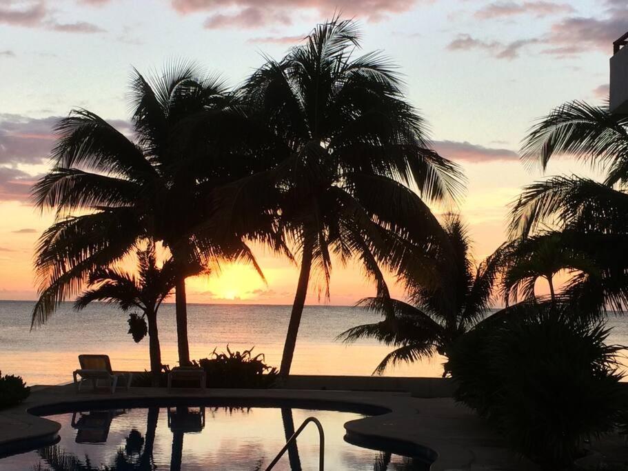 莫雷洛斯港的住宿－Charming Sea Side Ocean Front Condo，棕榈树和游泳池的日落