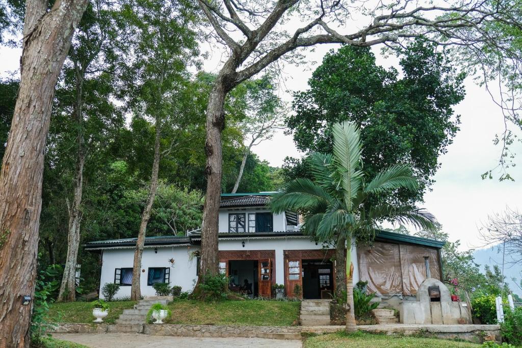 una casa con una palmera delante de ella en Welikande Yoga Retreats, en Digana