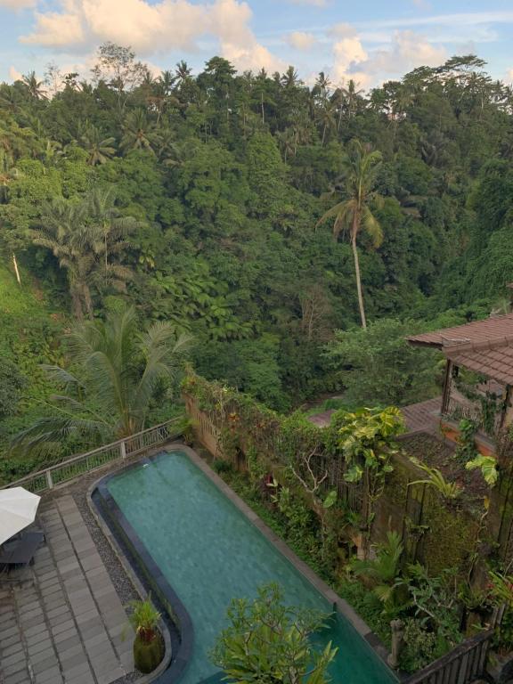 Bazén v ubytování Ubud Paras Villa nebo v jeho okolí