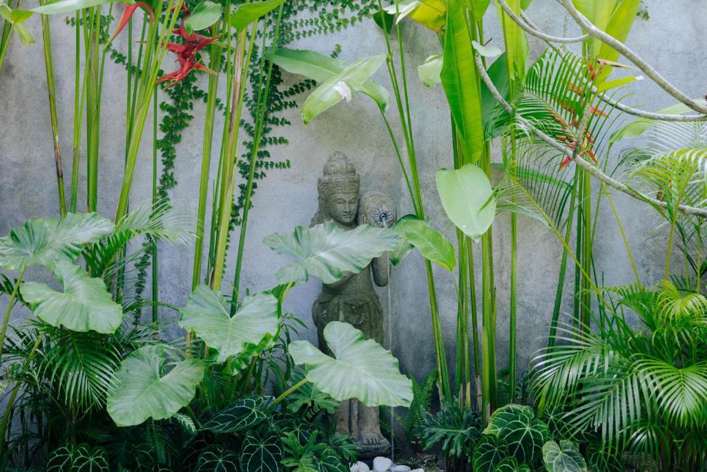 Jati Kuta Lombok - 6