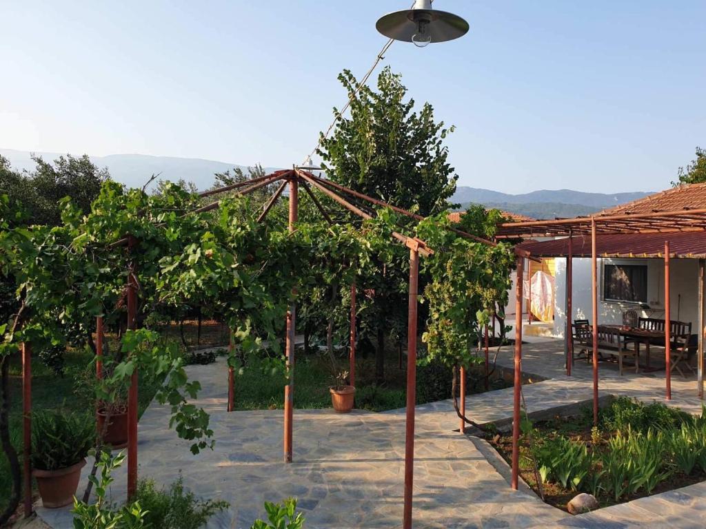 a garden with a pergola with trees and plants at PILIO PARADISE GARDEN in Koropi