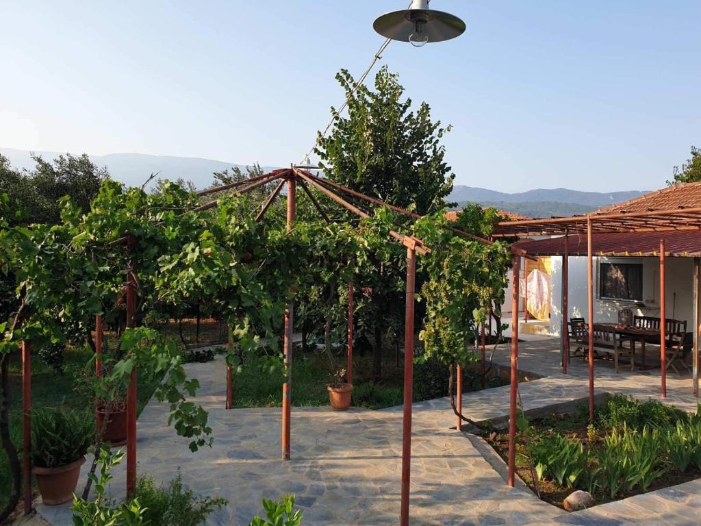 Kép PILIO PARADISE GARDEN szállásáról Koropíban a galériában