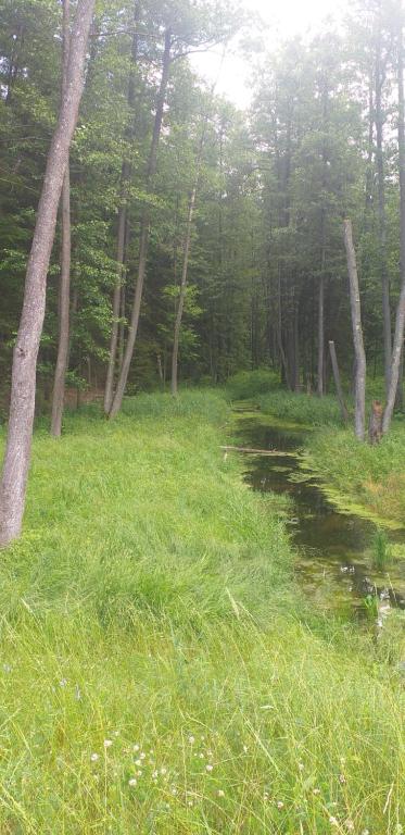 Príroda v okolí apartmánu