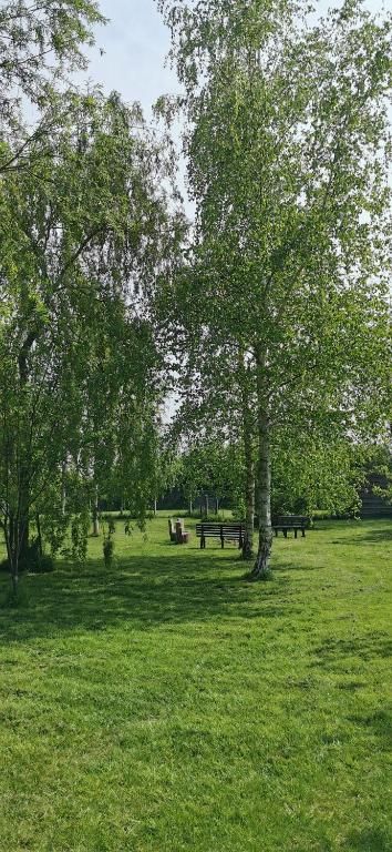 a park with benches and trees in the grass at De Groene Hoeve in Brakel