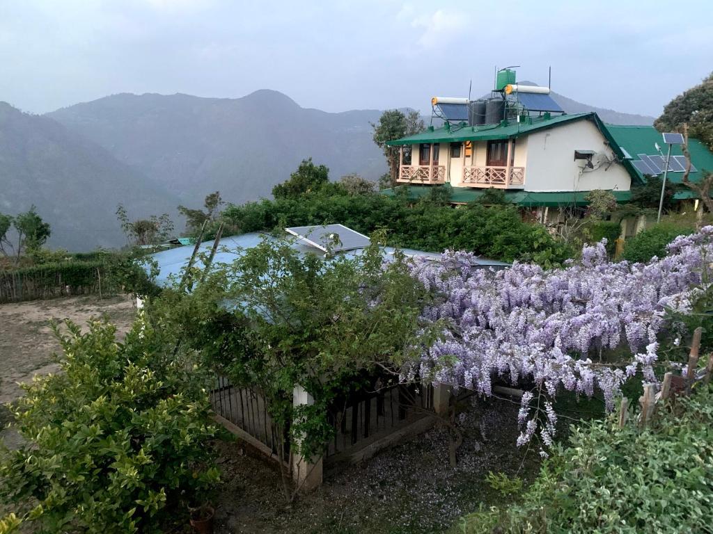 dom na szczycie wzgórza z fioletowymi kwiatami w obiekcie EMERALD TRAIL BHIMTAL w mieście Bhimtal