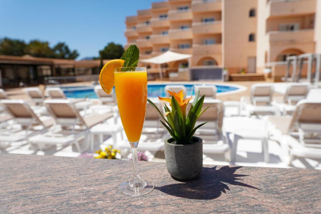 Rosamar Ibiza Hotel Adults Only, San Antonio – Updated 2023 ...