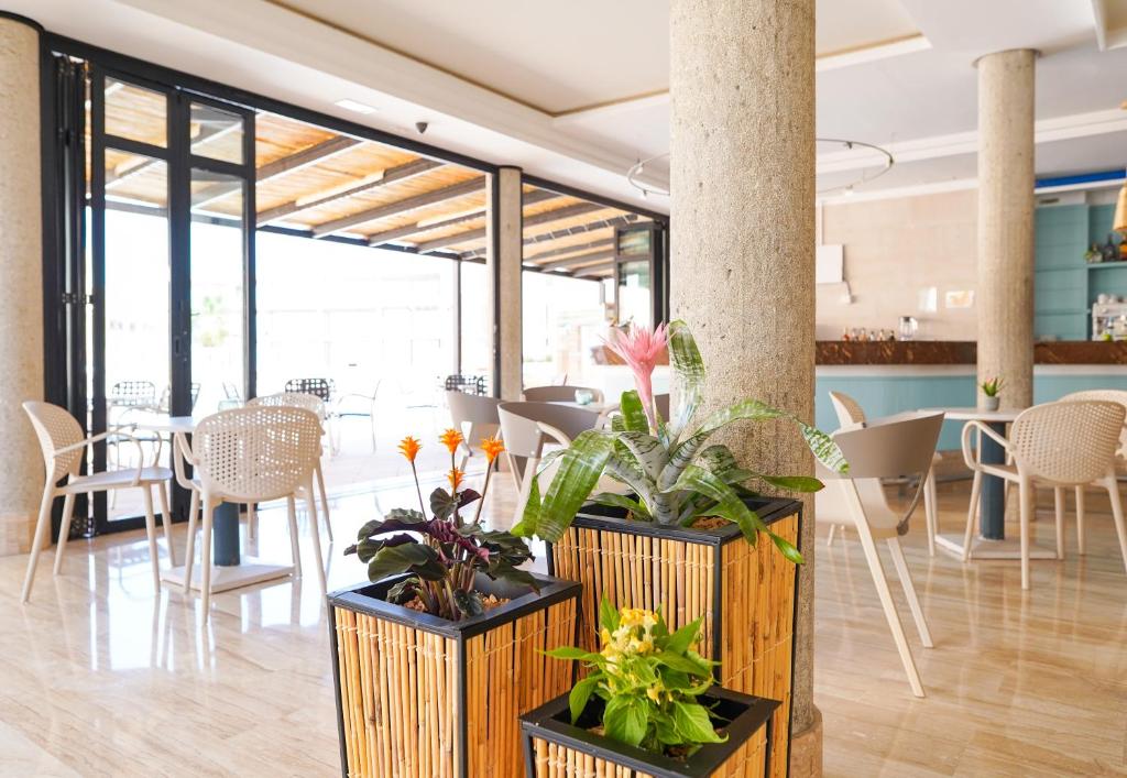 Część wypoczynkowa w obiekcie Rosamar Ibiza Hotel