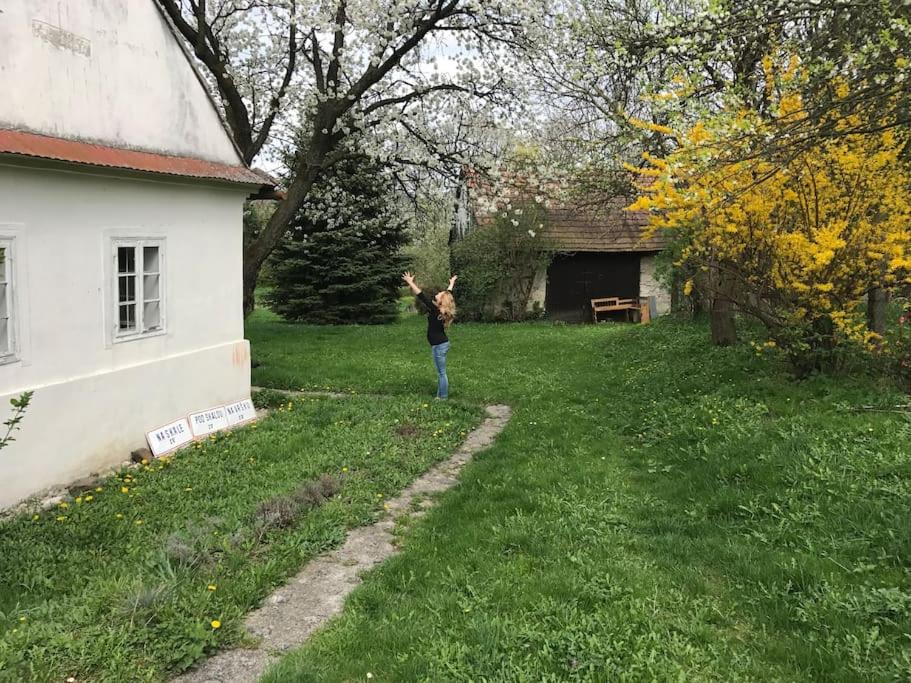 una persona parada en un patio junto a una casa en Romantická chalúpka na polosamote, en Plavecký Svätý Peter