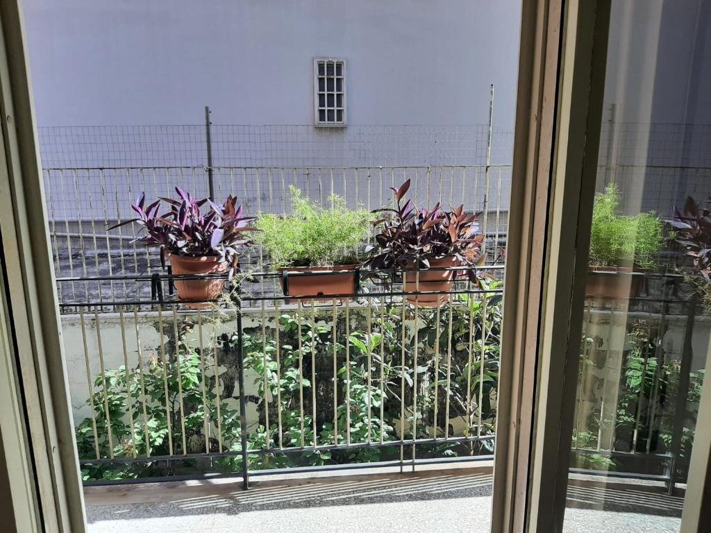 A garden outside interno13bari