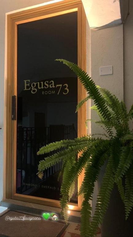 a green plant in front of a glass door at Egusa73 Favignana in Favignana